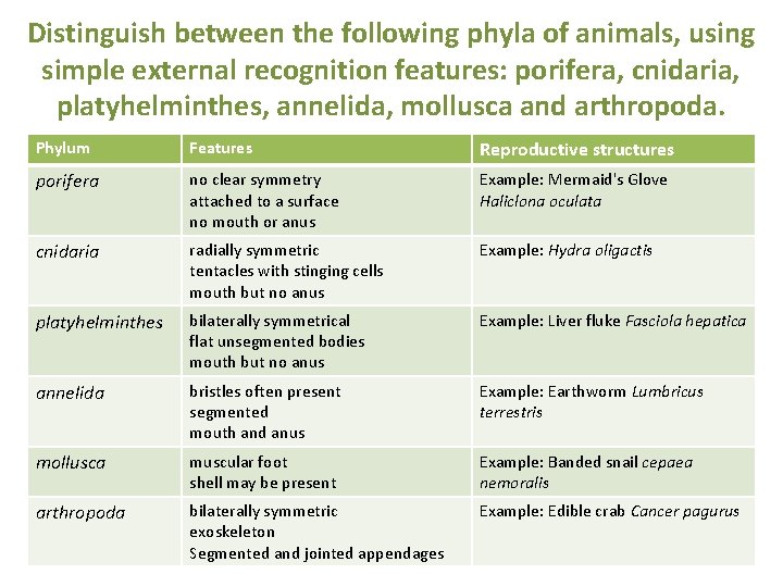 Distinguish between the following phyla of animals, using simple external recognition features: porifera, cnidaria, Distinguish between the following phyla of animals, using simple external recognition features: porifera, cnidaria,