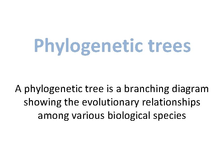 Phylogenetic trees A phylogenetic tree is a branching diagram showing the evolutionary relationships among Phylogenetic trees A phylogenetic tree is a branching diagram showing the evolutionary relationships among