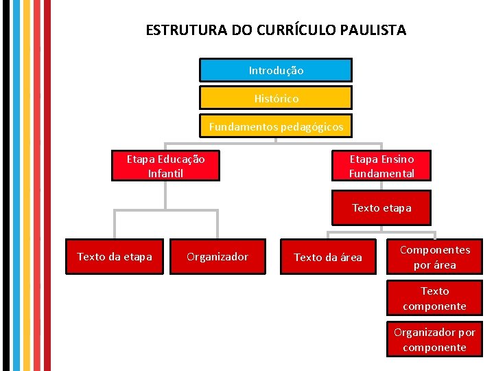 ESTRUTURA DO CURRÍCULO PAULISTA Introdução Histórico Fundamentos pedagógicos Etapa Educação Infantil Etapa Ensino Fundamental