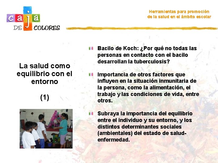 Herramientas para promoción de la salud en el ámbito escolar La salud como equilibrio