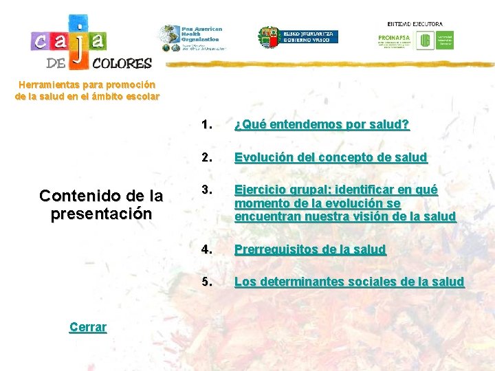 Herramientas para promoción de la salud en el ámbito escolar Contenido de la presentación