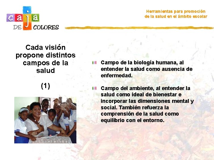 Herramientas para promoción de la salud en el ámbito escolar Cada visión propone distintos