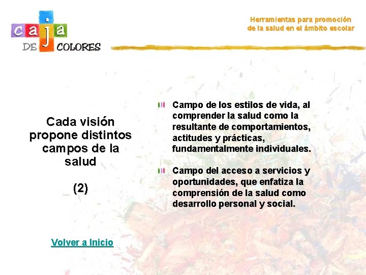 Herramientas para promoción de la salud en el ámbito escolar Cada visión propone distintos