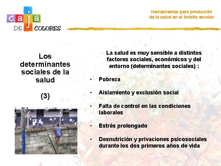 Herramientas para promoción de la salud en el ámbito escolar Los determinantes sociales de