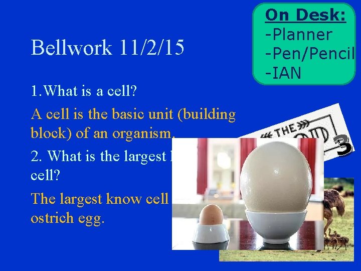 Bellwork 11/2/15 1. What is a cell? A cell is the basic unit (building