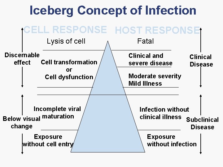 Iceberg Concept of Infection CELL RESPONSE HOST RESPONSE Lysis of cell Discernable Cell transformation