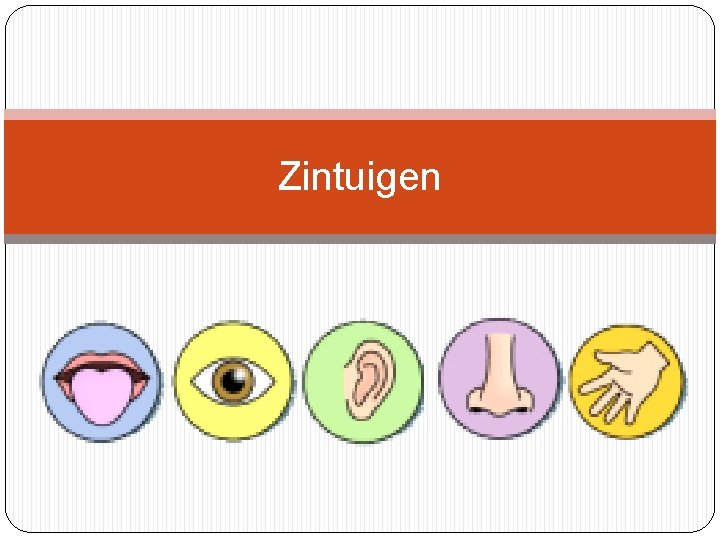 Zintuigen 1 Inleiding pg 10 1 1 1