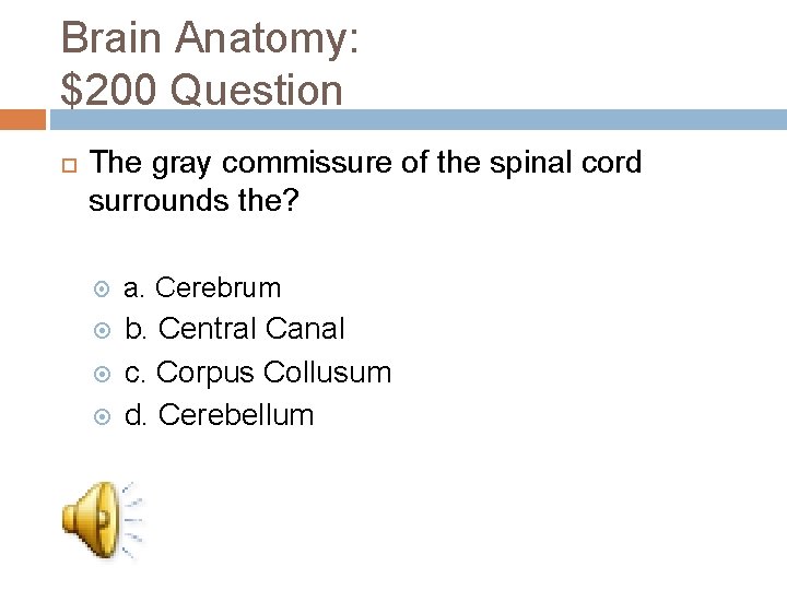 Brain Anatomy: $200 Question The gray commissure of the spinal cord surrounds the? a.
