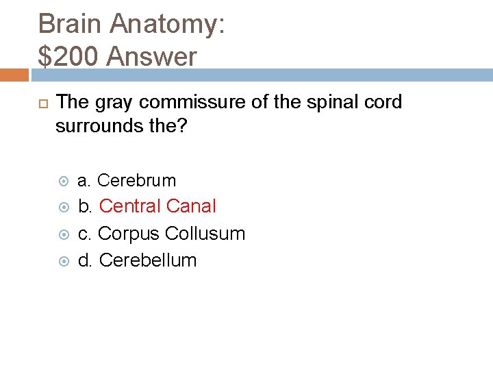 Brain Anatomy: $200 Answer The gray commissure of the spinal cord surrounds the? a.