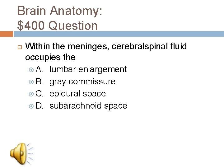 Brain Anatomy: $400 Question Within the meninges, cerebralspinal fluid occupies the A. lumbar enlargement