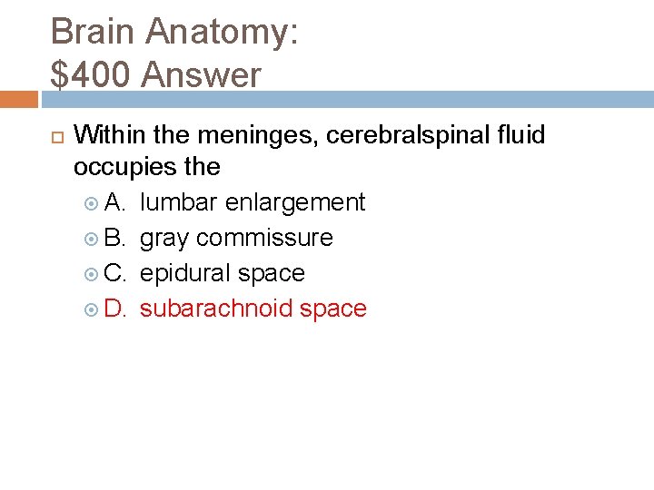 Brain Anatomy: $400 Answer Within the meninges, cerebralspinal fluid occupies the A. lumbar enlargement