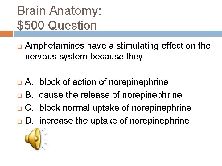 Brain Anatomy: $500 Question Amphetamines have a stimulating effect on the nervous system because