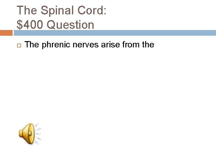 The Spinal Cord: $400 Question The phrenic nerves arise from the 