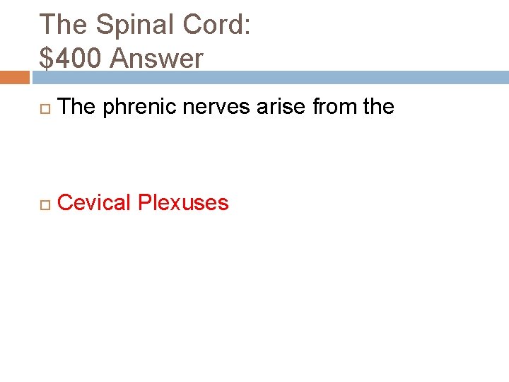 The Spinal Cord: $400 Answer The phrenic nerves arise from the Cevical Plexuses 