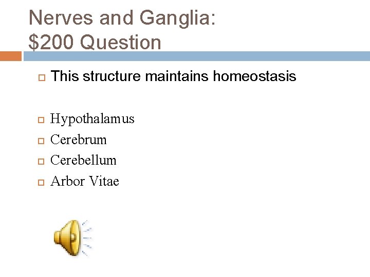 Nerves and Ganglia: $200 Question This structure maintains homeostasis Hypothalamus Cerebrum Cerebellum Arbor Vitae