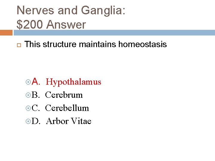 Nerves and Ganglia: $200 Answer This structure maintains homeostasis A. Hypothalamus B. Cerebrum C.