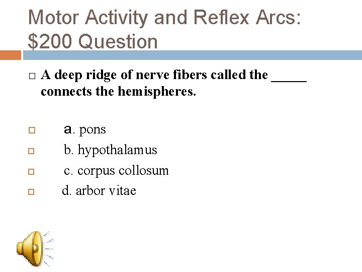 Motor Activity and Reflex Arcs: $200 Question � A deep ridge of nerve fibers