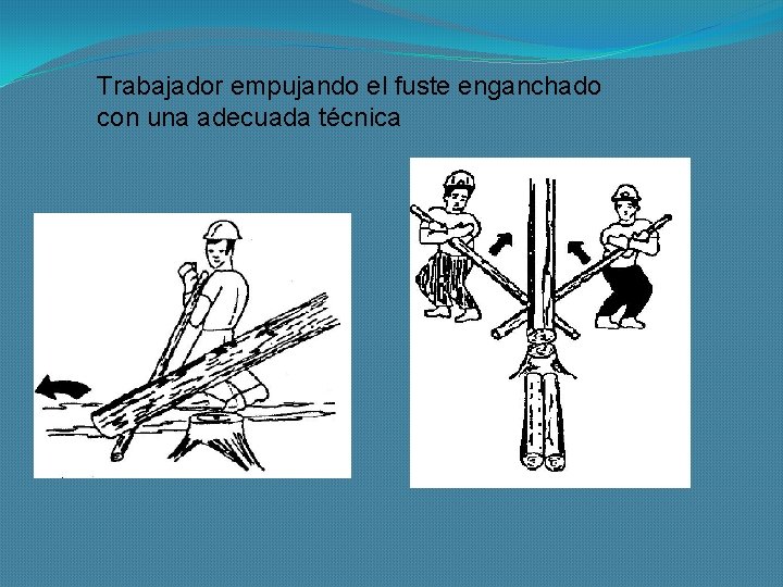 Trabajador empujando el fuste enganchado con una adecuada técnica 