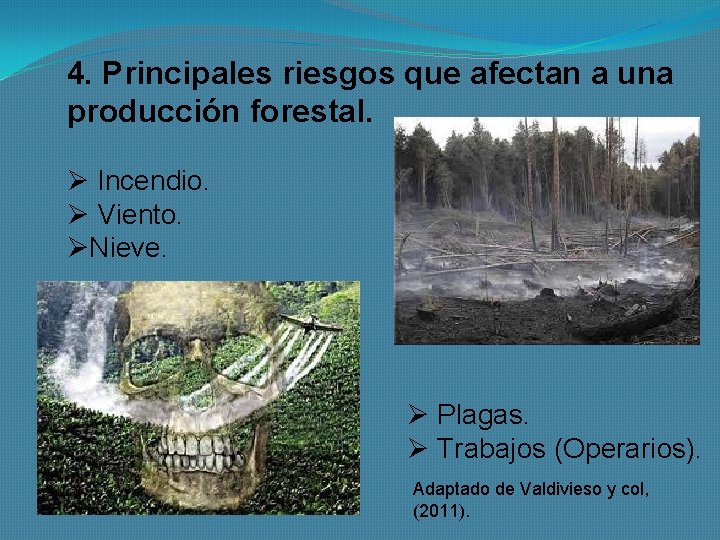4. Principales riesgos que afectan a una producción forestal. Ø Incendio. Ø Viento. ØNieve.