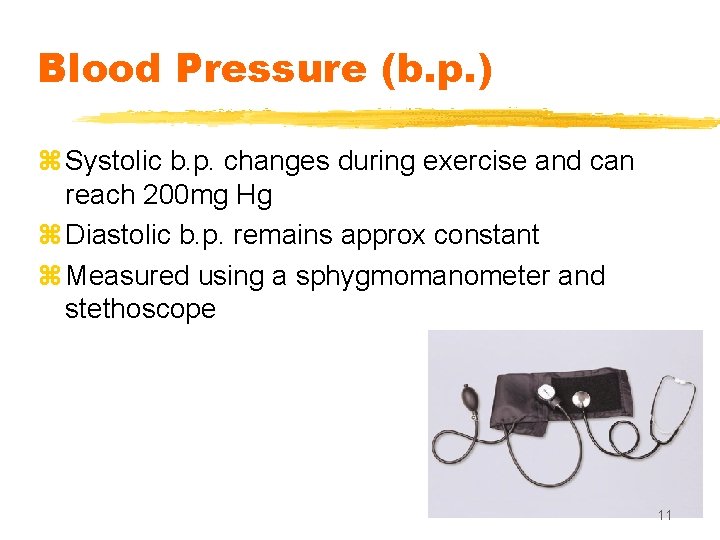 Blood Pressure (b. p. ) z Systolic b. p. changes during exercise and can