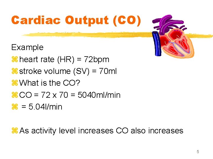 Cardiac Output (CO) Example z heart rate (HR) = 72 bpm z stroke volume