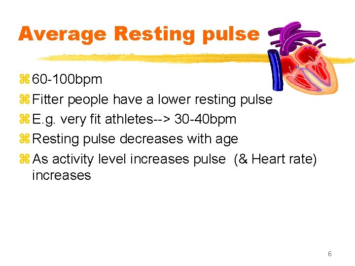 Average Resting pulse z 60 -100 bpm z Fitter people have a lower resting