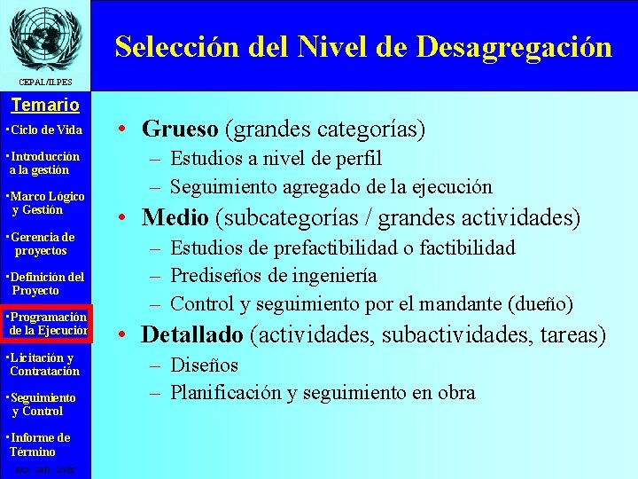 Selección del Nivel de Desagregación CEPAL/ILPES Temario • Ciclo de Vida • Introducción a