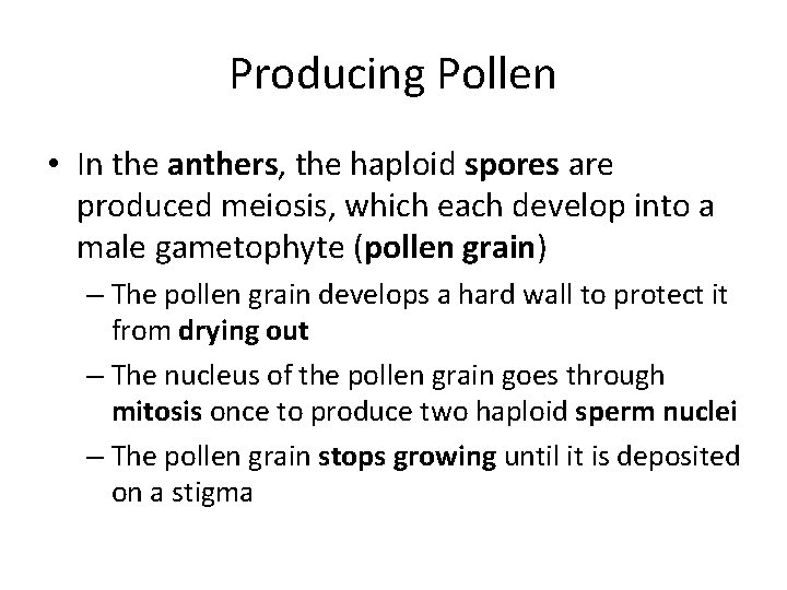 Producing Pollen • In the anthers, the haploid spores are produced meiosis, which each