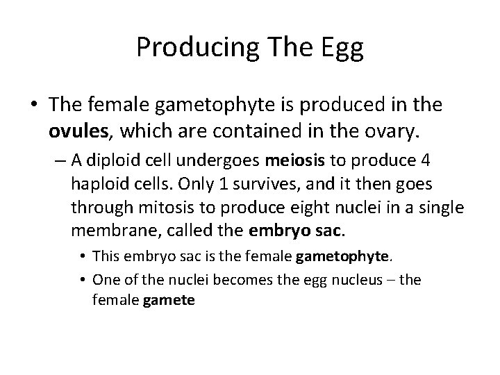 Producing The Egg • The female gametophyte is produced in the ovules, which are
