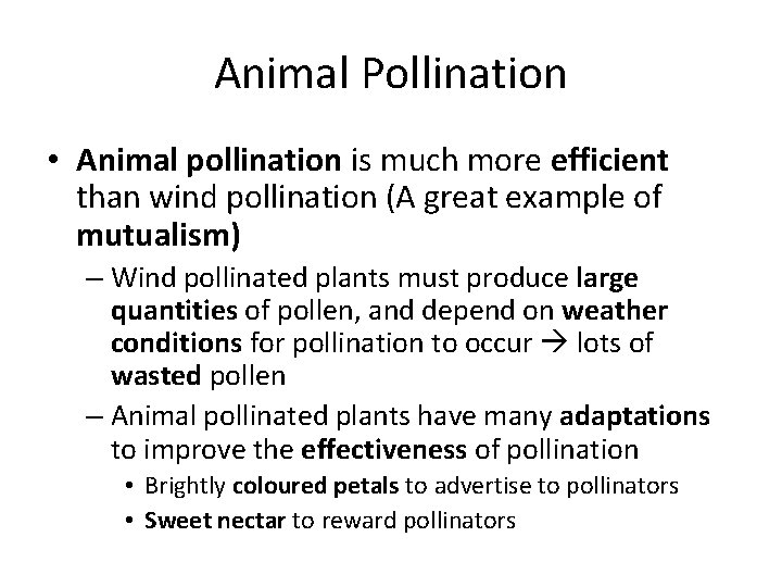 Animal Pollination • Animal pollination is much more efficient than wind pollination (A great