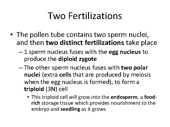 Two Fertilizations • The pollen tube contains two sperm nuclei, and then two distinct