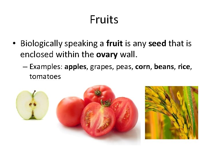 Fruits • Biologically speaking a fruit is any seed that is enclosed within the