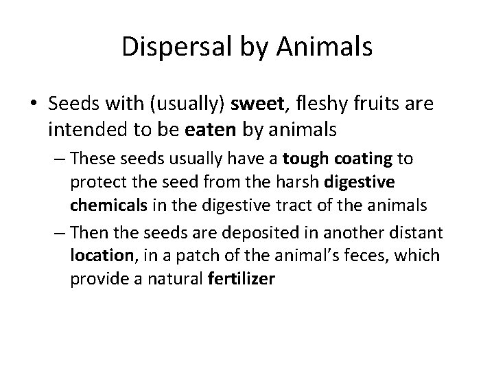 Dispersal by Animals • Seeds with (usually) sweet, fleshy fruits are intended to be