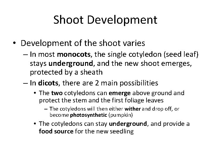 Shoot Development • Development of the shoot varies – In most monocots, the single