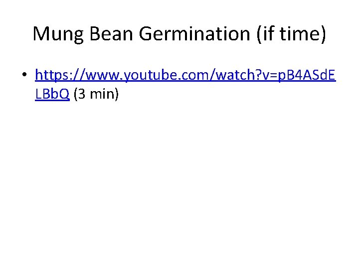 Mung Bean Germination (if time) • https: //www. youtube. com/watch? v=p. B 4 ASd.
