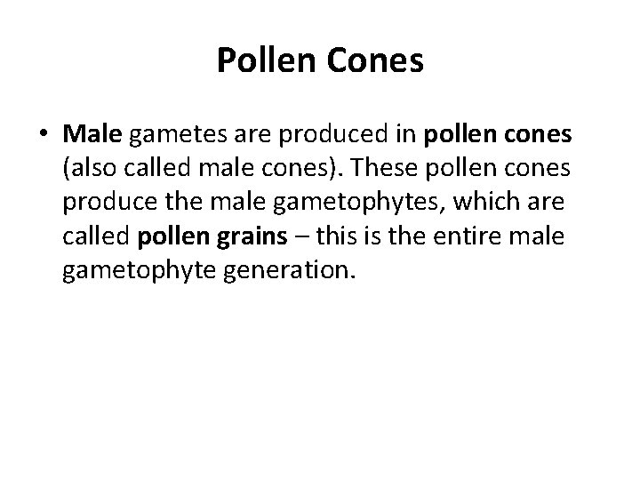 Pollen Cones • Male gametes are produced in pollen cones (also called male cones).