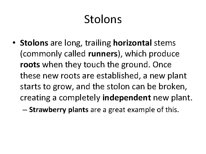 Stolons • Stolons are long, trailing horizontal stems (commonly called runners), which produce roots