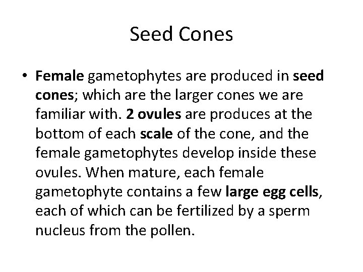 Seed Cones • Female gametophytes are produced in seed cones; which are the larger