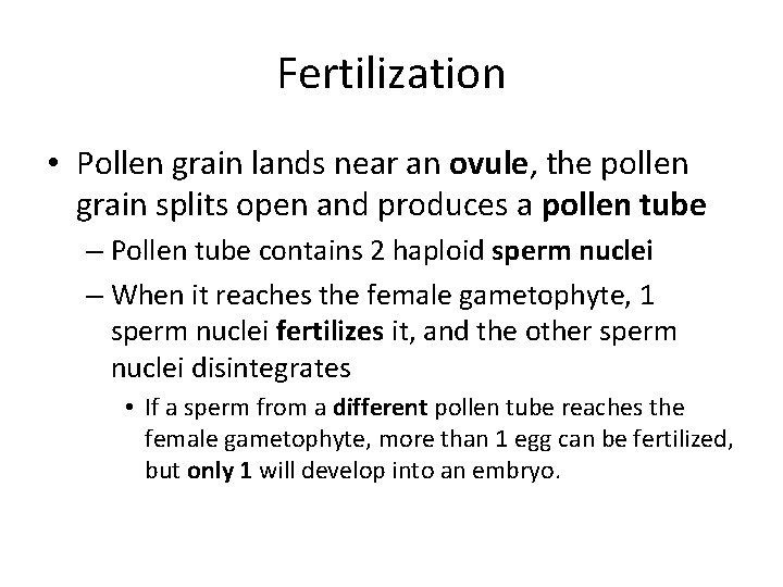 Fertilization • Pollen grain lands near an ovule, the pollen grain splits open and