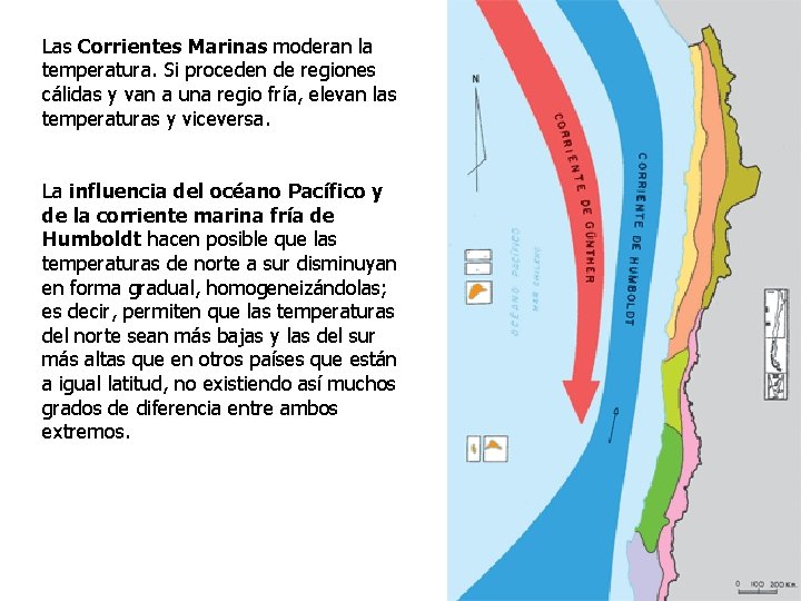 Las Corrientes Marinas moderan la temperatura. Si proceden de regiones cálidas y van a