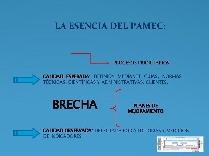 LA ESENCIA DEL PAMEC: PROCESOS PRIORITARIOS CALIDAD ESPERADA: DEFINIDA MEDIANTE GUÍAS, NORMAS TÉCNICAS, CIENTÍFICAS LA ESENCIA DEL PAMEC: PROCESOS PRIORITARIOS CALIDAD ESPERADA: DEFINIDA MEDIANTE GUÍAS, NORMAS TÉCNICAS, CIENTÍFICAS