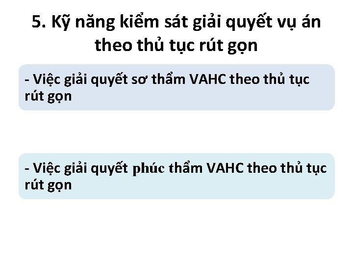 5. Kỹ năng kiểm sát giải quyết vụ án theo thủ tục rút gọn