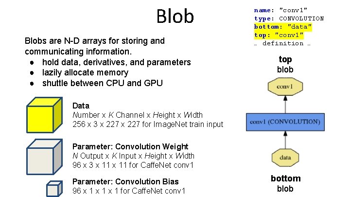 Blobs are N-D arrays for storing and communicating information. ● hold data, derivatives, and