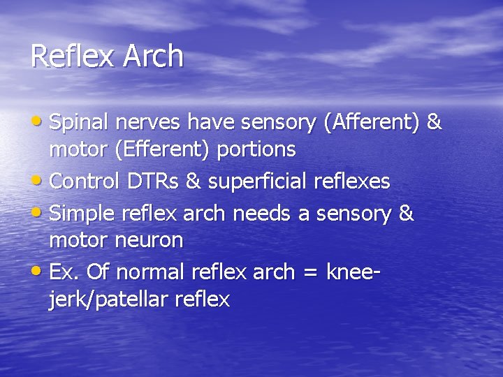 Reflex Arch • Spinal nerves have sensory (Afferent) & motor (Efferent) portions • Control