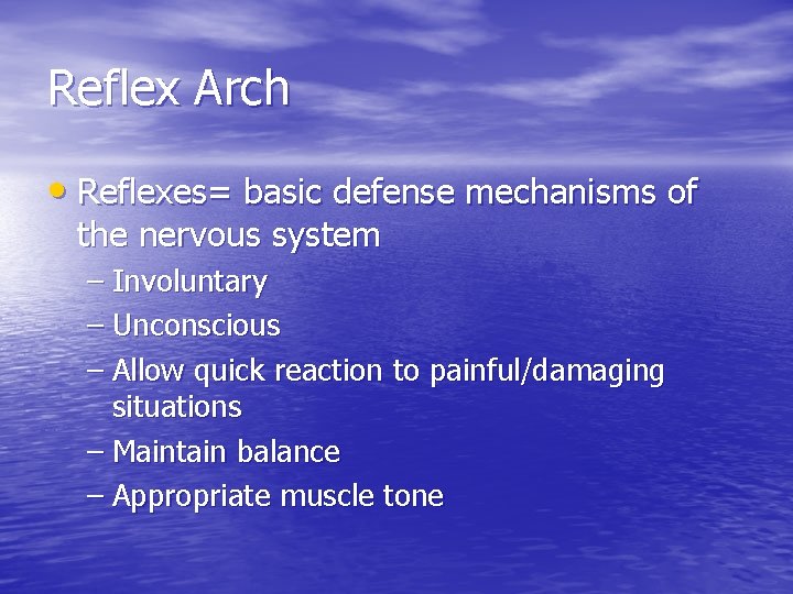 Reflex Arch • Reflexes= basic defense mechanisms of the nervous system – Involuntary –