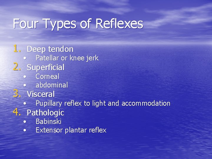 Four Types of Reflexes 1. Deep tendon • Patellar or knee jerk • •