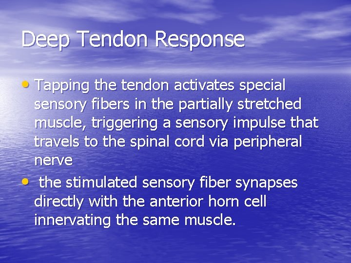 Deep Tendon Response • Tapping the tendon activates special sensory fibers in the partially