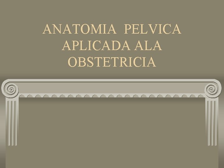 ANATOMIA PELVICA APLICADA ALA OBSTETRICIA 