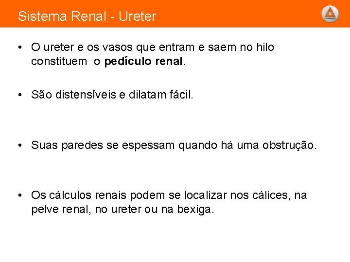 Sistema Renal - Ureter • O ureter e os vasos que entram e saem