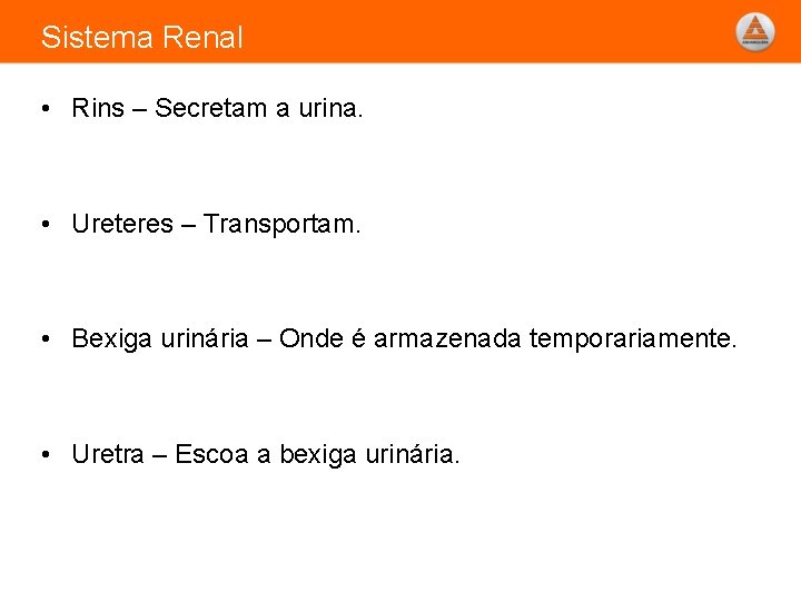 Sistema Renal • Rins – Secretam a urina. • Ureteres – Transportam. • Bexiga